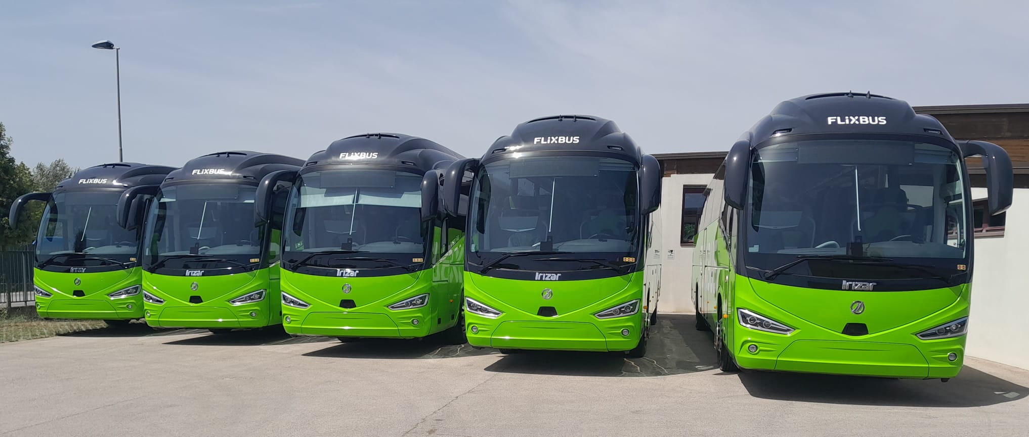 CONSEGNA BUS COMPANY